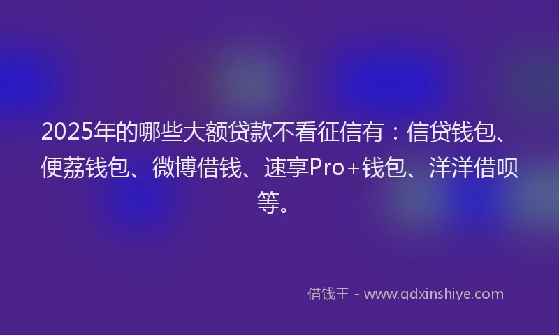 2025年的哪些大额贷款不看征信有：信贷钱包、便荔钱包、微博借钱、速享Pro+钱包、洋洋借呗等。
