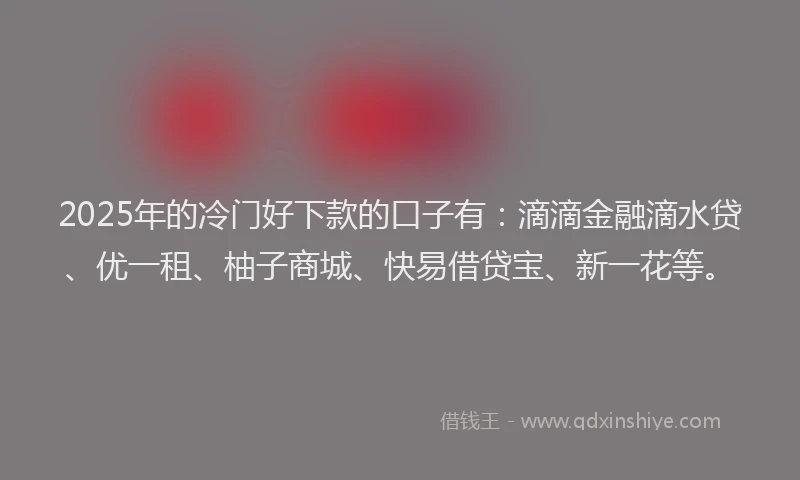 2025年的冷门好下款的口子有：滴滴金融滴水贷、优一租、柚子商城、快易借贷宝、新一花等。