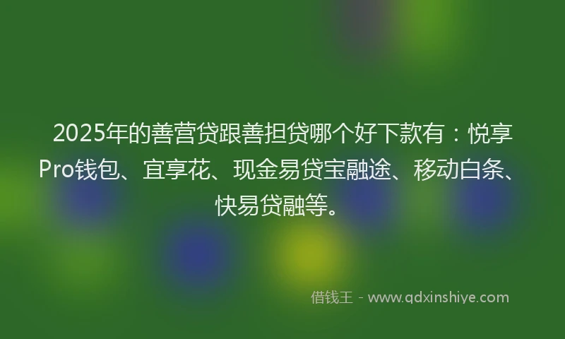 2025年的善营贷跟善担贷哪个好下款有：悦享Pro钱包、宜享花、现金易贷宝融途、移动白条、快易贷融等。