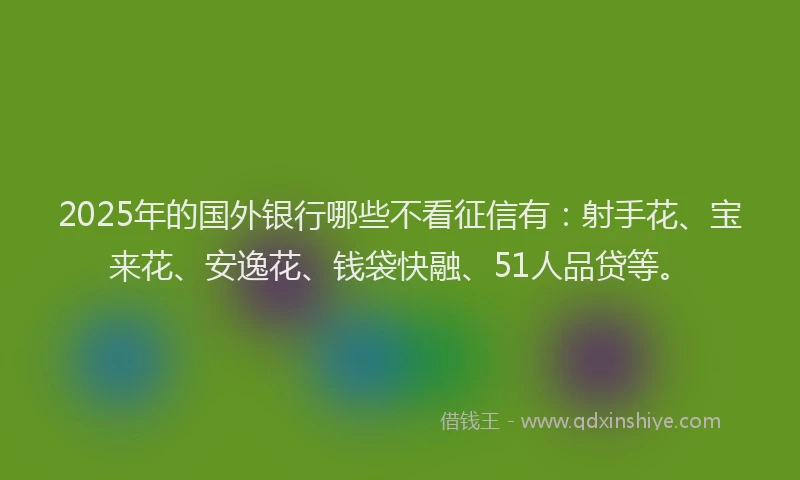 2025年的国外银行哪些不看征信有：射手花、宝来花、安逸花、钱袋快融、51人品贷等。