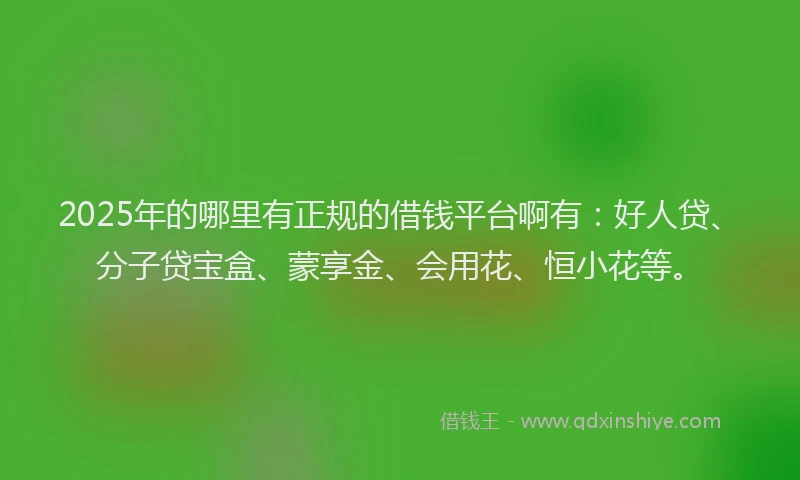 2025年的哪里有正规的借钱平台啊有：好人贷、分子贷宝盒、蒙享金、会用花、恒小花等。