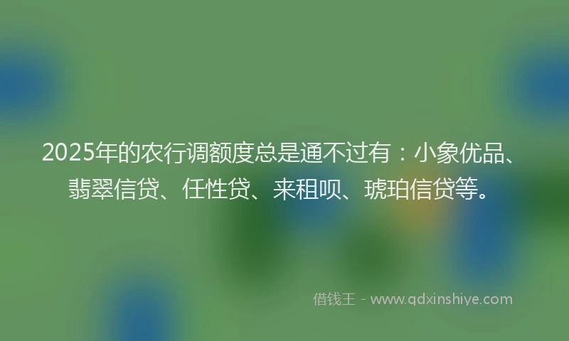 2025年的农行调额度总是通不过有：小象优品、翡翠信贷、任性贷、来租呗、琥珀信贷等。