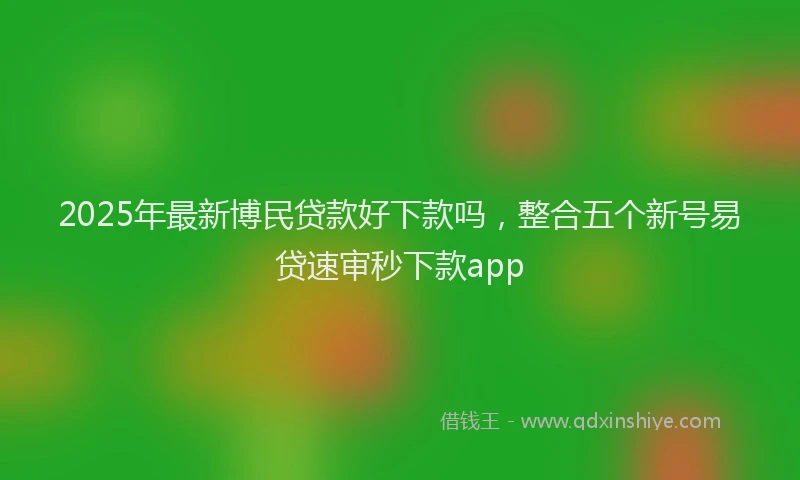 2025年最新博民贷款好下款吗，整合五个新号易贷速审秒下款app