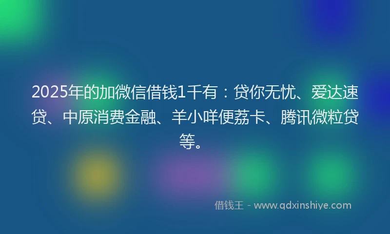 2025年的加微信借钱1千有：贷你无忧、爱达速贷、中原消费金融、羊小咩便荔卡、腾讯微粒贷等。