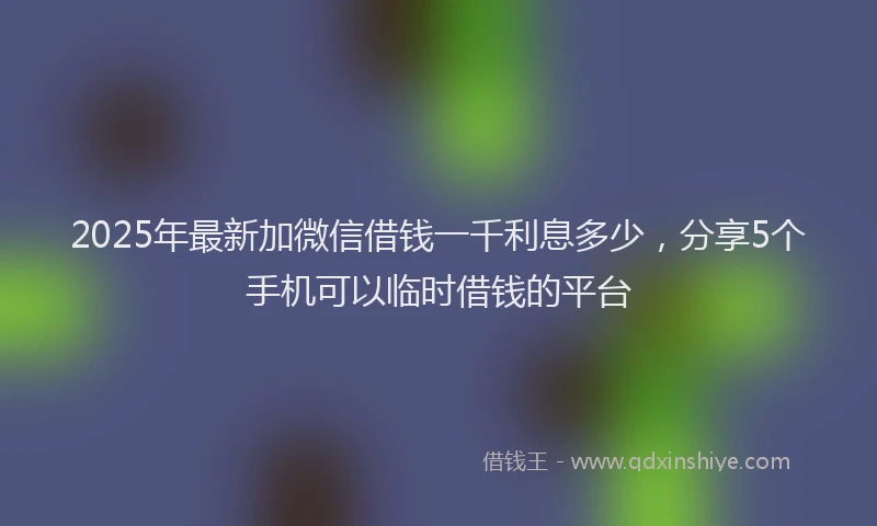 2025年最新加微信借钱一千利息多少，分享5个手机可以临时借钱的平台