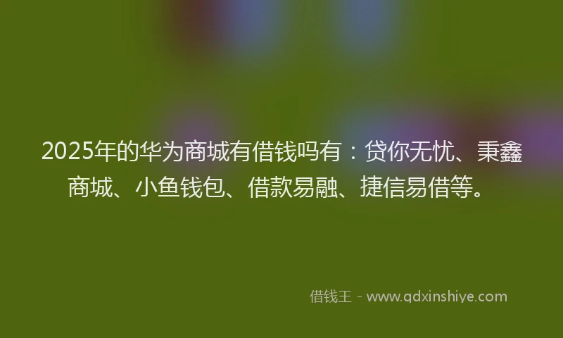 2025年的华为商城有借钱吗有：贷你无忧、秉鑫商城、小鱼钱包、借款易融、捷信易借等。
