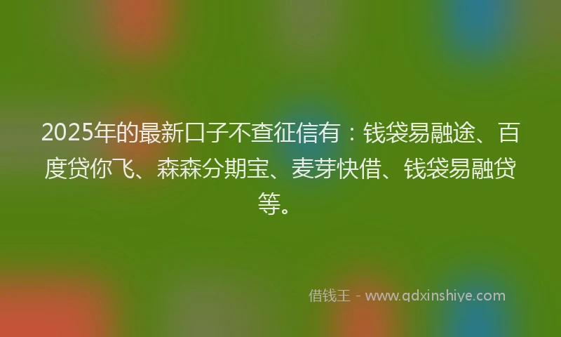 2025年的最新口子不查征信有：钱袋易融途、百度贷你飞、森森分期宝、麦芽快借、钱袋易融贷等。