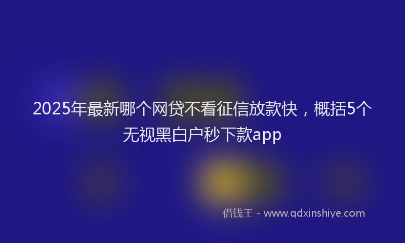 2025年最新哪个网贷不看征信放款快，概括5个无视黑白户秒下款app