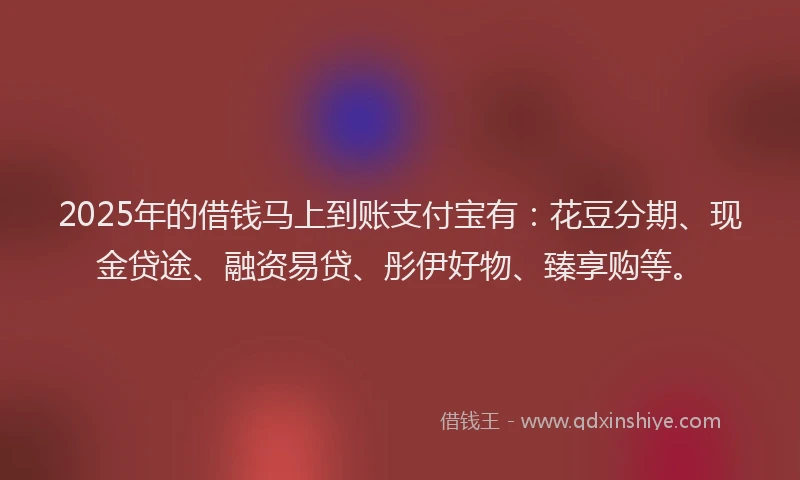 2025年的借钱马上到账支付宝有：花豆分期、现金贷途、融资易贷、彤伊好物、臻享购等。