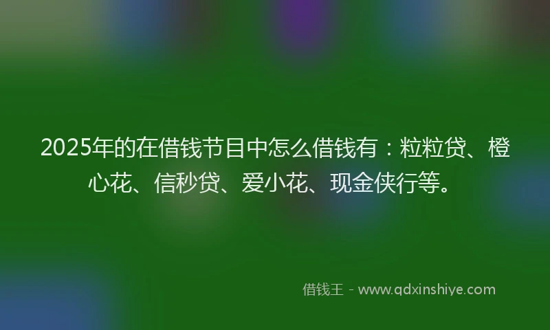 2025年的在借钱节目中怎么借钱有：粒粒贷、橙心花、信秒贷、爱小花、现金侠行等。