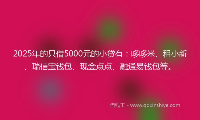 2025年的只借5000元的小贷有：哆哆米、租小新、瑞信宝钱包、现金点点、融通易钱包等。