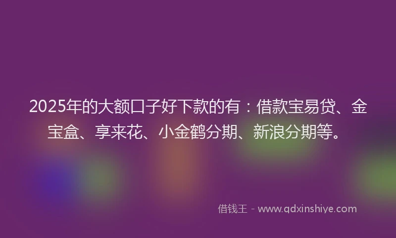 2025年的大额口子好下款的有：借款宝易贷、金宝盒、享来花、小金鹤分期、新浪分期等。