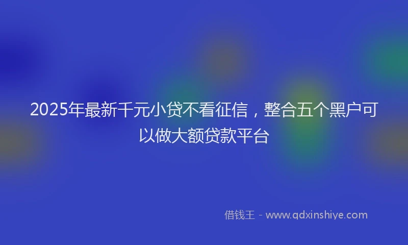 2025年最新千元小贷不看征信，整合五个黑户可以做大额贷款平台