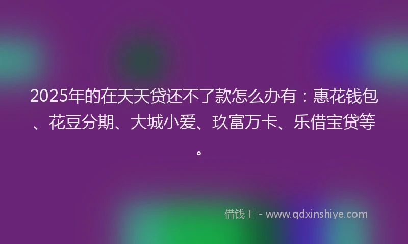 2025年的在天天贷还不了款怎么办有：惠花钱包、花豆分期、大城小爱、玖富万卡、乐借宝贷等。