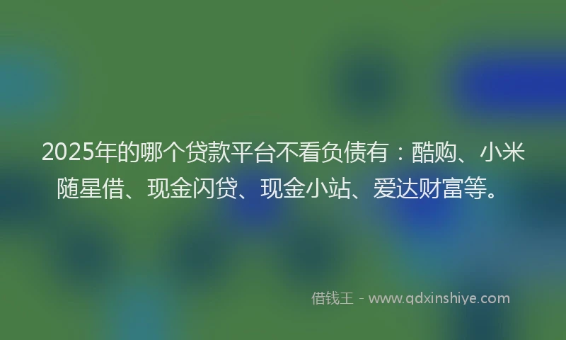 2025年的哪个贷款平台不看负债有：酷购、小米随星借、现金闪贷、现金小站、爱达财富等。