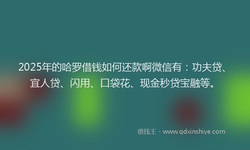 2025年的哈罗借钱如何还款啊微信有：功夫贷、宜人贷、闪用、口袋花、现金秒贷宝融等。