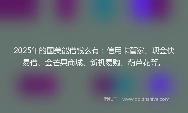 2025年的国美能借钱么有：信用卡管家、现金侠易借、金芒果商城、新机易购、葫芦花等。