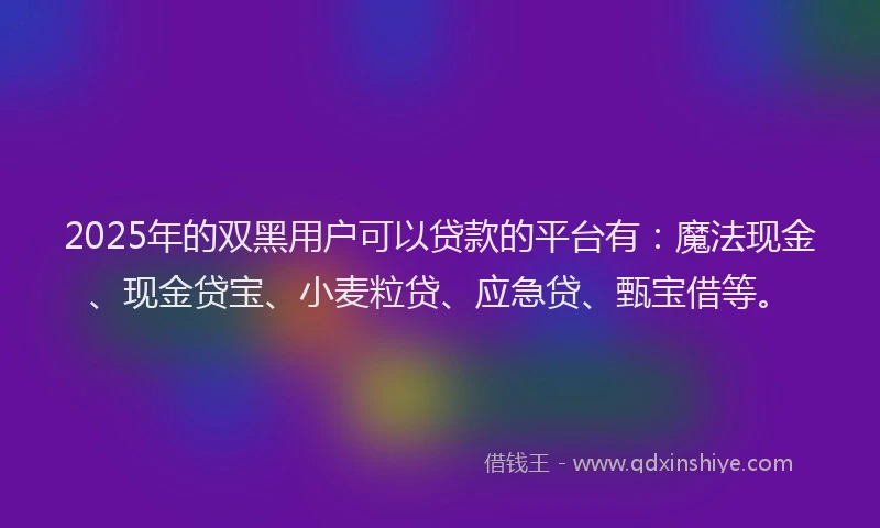 2025年的双黑用户可以贷款的平台有：魔法现金、现金贷宝、小麦粒贷、应急贷、甄宝借等。