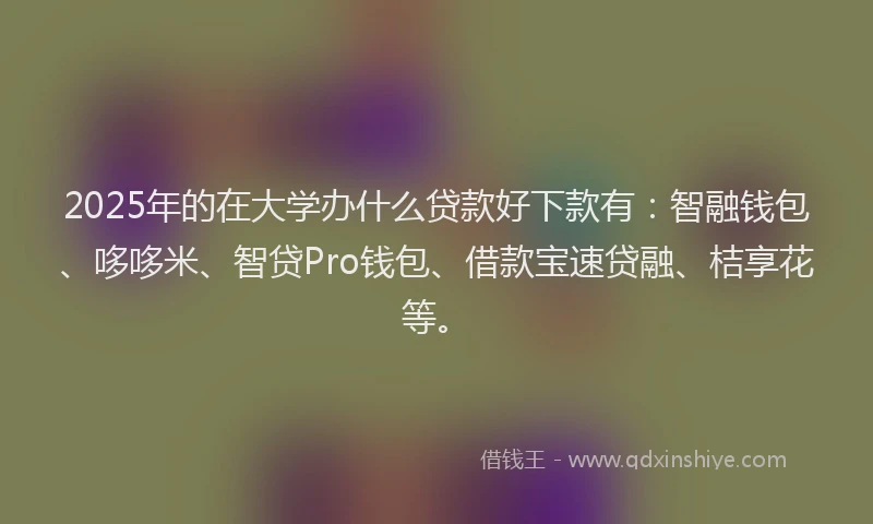 2025年的在大学办什么贷款好下款有：智融钱包、哆哆米、智贷Pro钱包、借款宝速贷融、桔享花等。