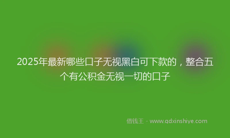 2025年最新哪些口子无视黑白可下款的，整合五个有公积金无视一切的口子