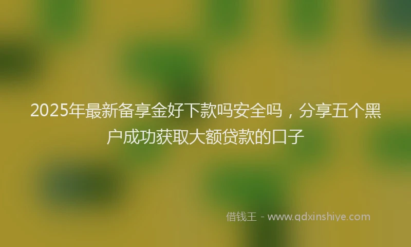 2025年最新备享金好下款吗安全吗，分享五个黑户成功获取大额贷款的口子