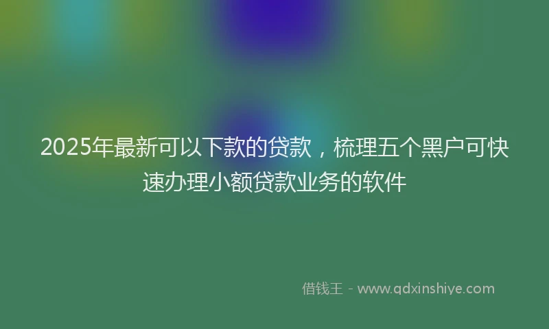 2025年最新可以下款的贷款，梳理五个黑户可快速办理小额贷款业务的软件