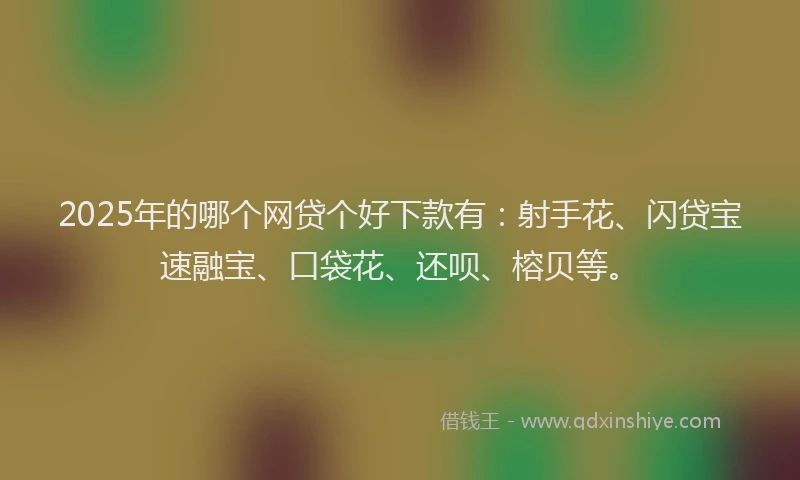 2025年的哪个网贷个好下款有：射手花、闪贷宝速融宝、口袋花、还呗、榕贝等。