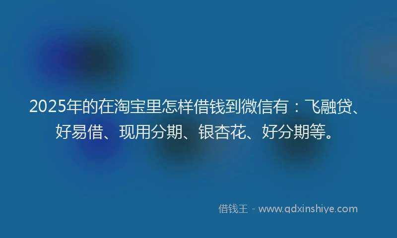 2025年的在淘宝里怎样借钱到微信有：飞融贷、好易借、现用分期、银杏花、好分期等。