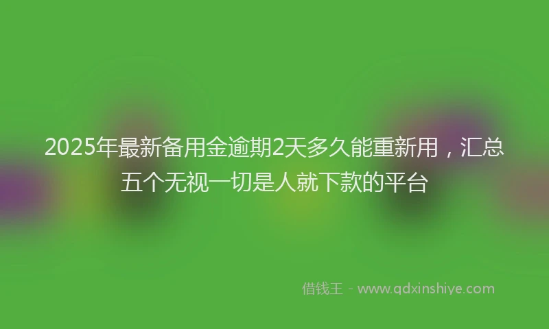 2025年最新备用金逾期2天多久能重新用，汇总五个无视一切是人就下款的平台