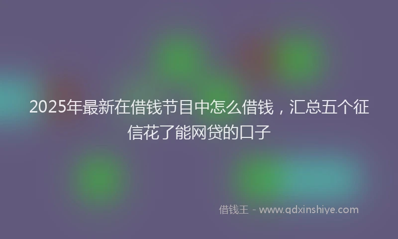 2025年最新在借钱节目中怎么借钱，汇总五个征信花了能网贷的口子