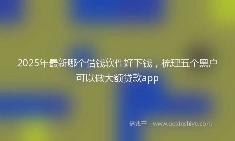 2025年最新哪个借钱软件好下钱，梳理五个黑户可以做大额贷款app