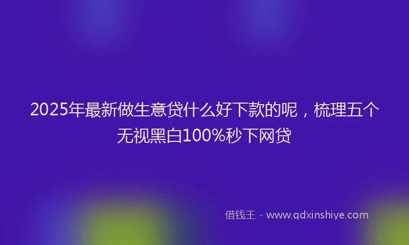 2025年最新做生意贷什么好下款的呢，梳理五个无视黑白100%秒下网贷