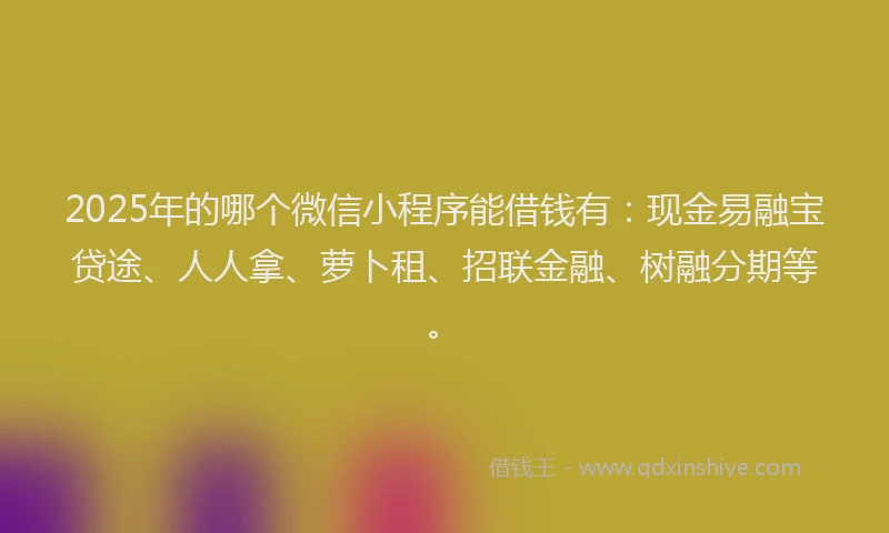 2025年的哪个微信小程序能借钱有：现金易融宝贷途、人人拿、萝卜租、招联金融、树融分期等。