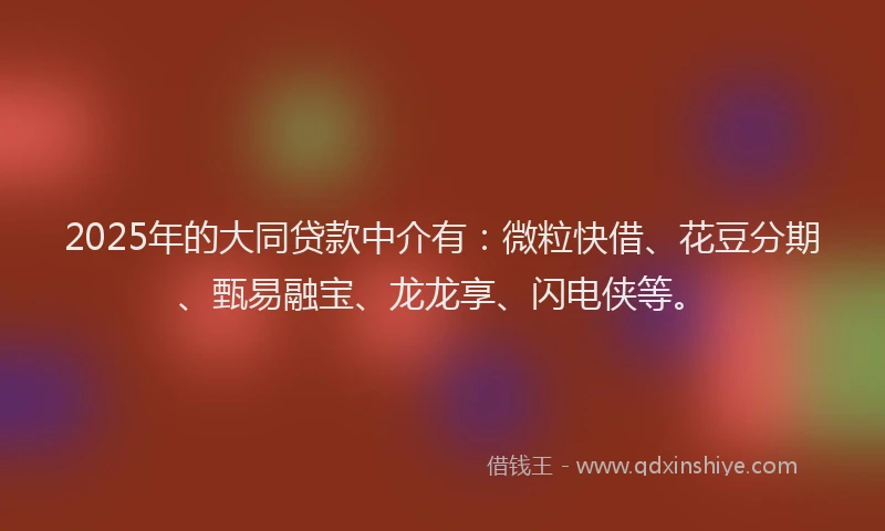 2025年的大同贷款中介有：微粒快借、花豆分期、甄易融宝、龙龙享、闪电侠等。