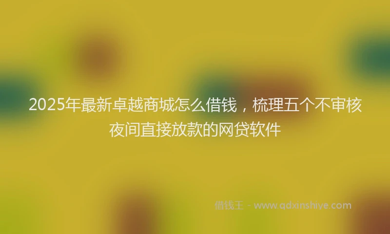 2025年最新卓越商城怎么借钱，梳理五个不审核夜间直接放款的网贷软件
