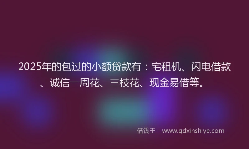 2025年的包过的小额贷款有：宅租机、闪电借款、诚信一周花、三枝花、现金易借等。