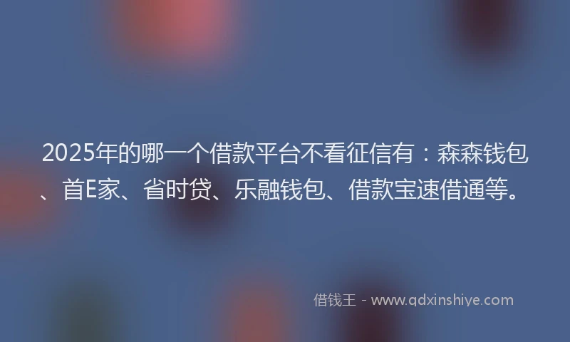 2025年的哪一个借款平台不看征信有：森森钱包、首E家、省时贷、乐融钱包、借款宝速借通等。