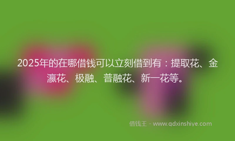 2025年的在哪借钱可以立刻借到有：提取花、金瀛花、极融、普融花、新一花等。