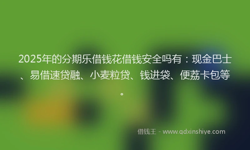2025年的分期乐借钱花借钱安全吗有：现金巴士、易借速贷融、小麦粒贷、钱进袋、便荔卡包等。