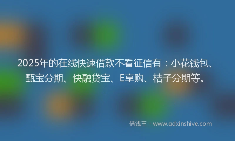2025年的在线快速借款不看征信有：小花钱包、甄宝分期、快融贷宝、E享购、桔子分期等。