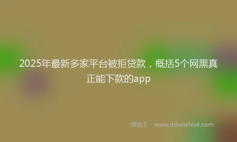 2025年最新多家平台被拒贷款，概括5个网黑真正能下款的app