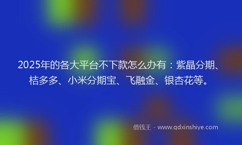 2025年的各大平台不下款怎么办有：紫晶分期、桔多多、小米分期宝、飞融金、银杏花等。