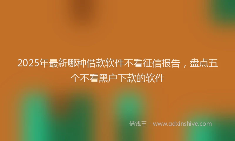2025年最新哪种借款软件不看征信报告，盘点五个不看黑户下款的软件