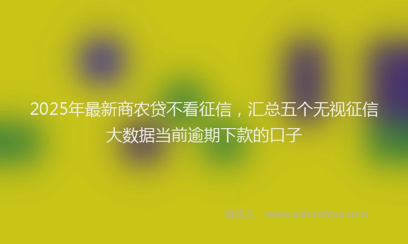 2025年最新商农贷不看征信，汇总五个无视征信大数据当前逾期下款的口子