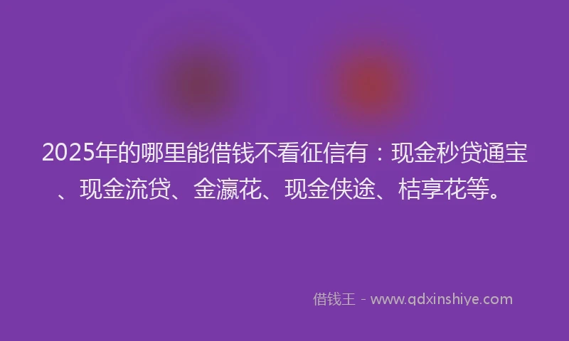 2025年的哪里能借钱不看征信有：现金秒贷通宝、现金流贷、金瀛花、现金侠途、桔享花等。