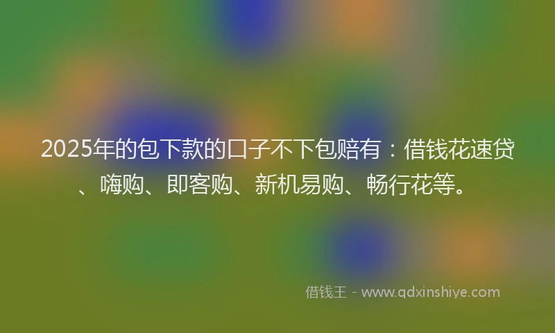 2025年的包下款的口子不下包赔有：借钱花速贷、嗨购、即客购、新机易购、畅行花等。