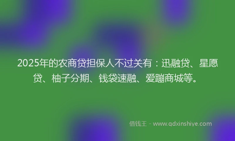 2025年的农商贷担保人不过关有：迅融贷、星愿贷、柚子分期、钱袋速融、爱蹦商城等。