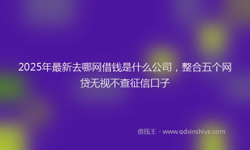 2025年最新去哪网借钱是什么公司，整合五个网贷无视不查征信口子