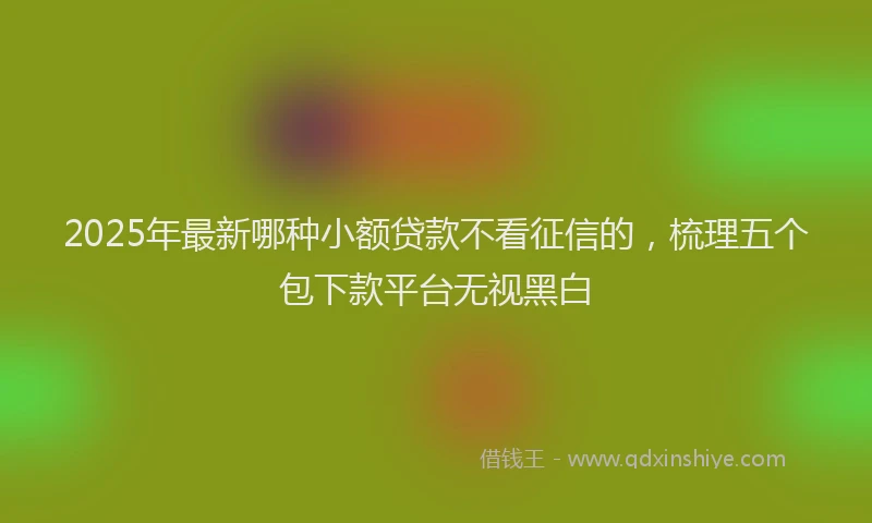2025年最新哪种小额贷款不看征信的，梳理五个包下款平台无视黑白