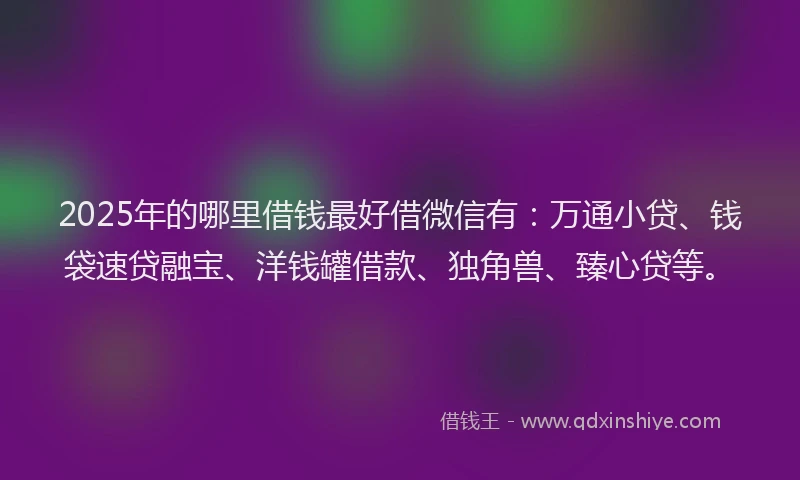 2025年的哪里借钱最好借微信有：万通小贷、钱袋速贷融宝、洋钱罐借款、独角兽、臻心贷等。